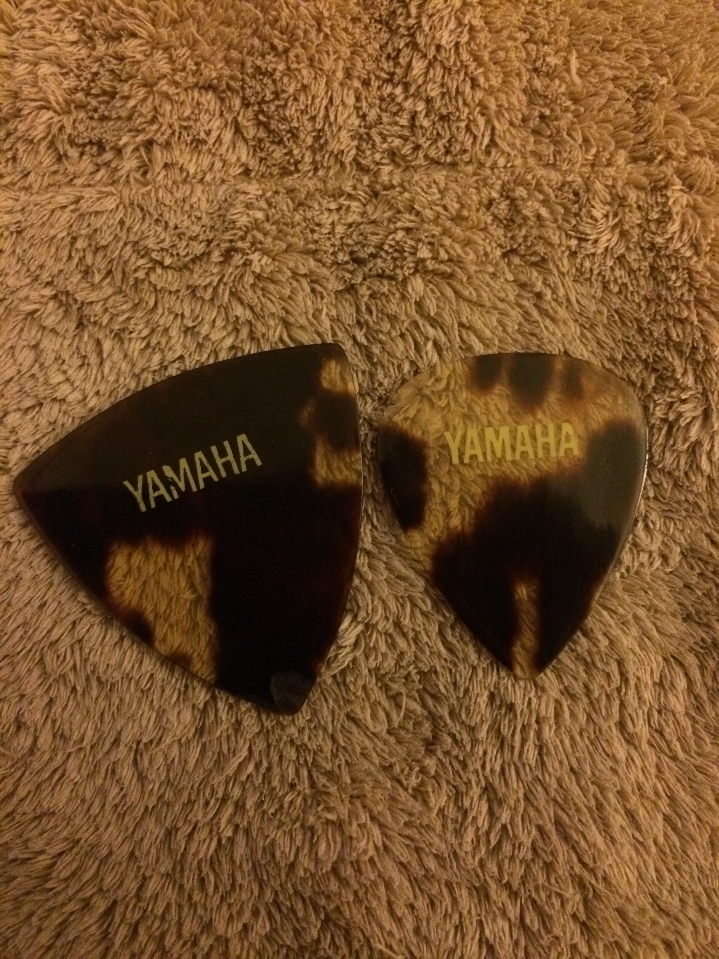 写真 2018-02-11 5 14 12.jpg