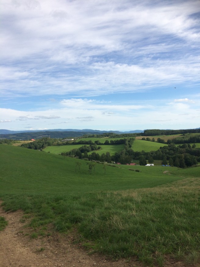 写真 2018-09-02 15 35 43.jpg